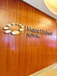 Mount Elizabeth Novena Hospital (D12), Retail #485058301